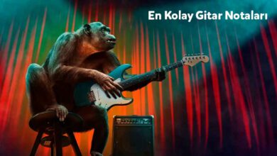 En Kolay Gitar Notaları