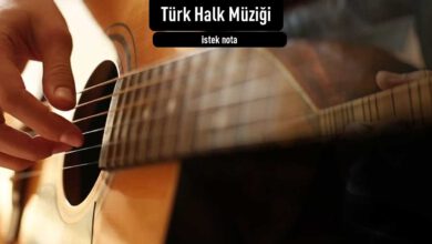 Türkü Notaları
