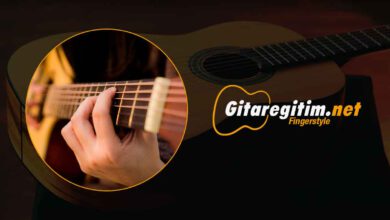 Fingerstyle