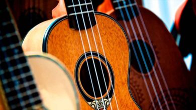 Ukulele Nedir?