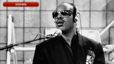 Stevie Wonder